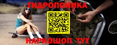 бошки Гатчина