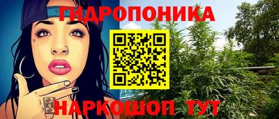 стаф Гагарин