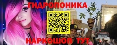бошки Гатчина