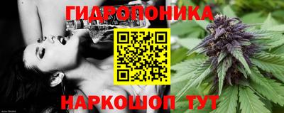 2c-b Гай