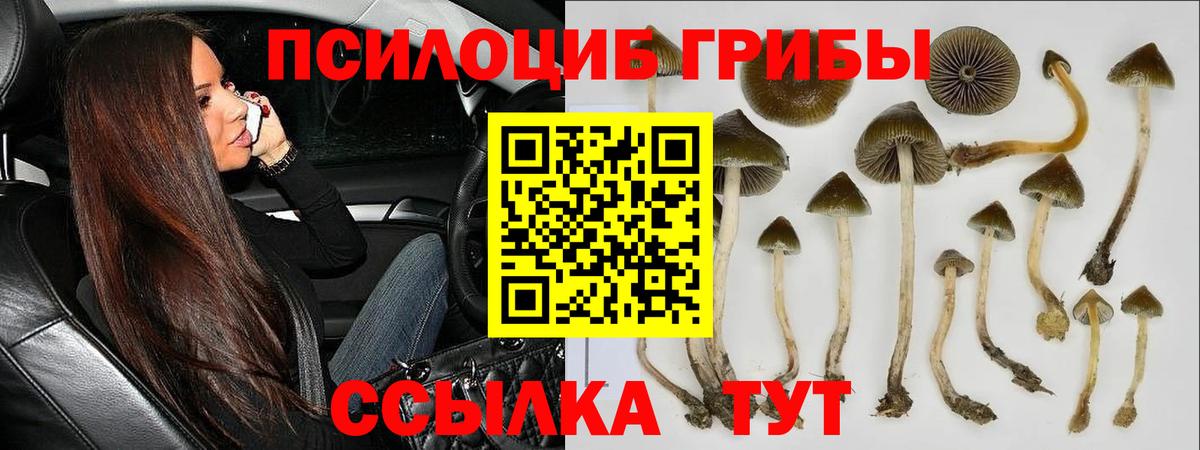 Касимов  Псилоцибиновые грибы мухоморы  Вход с VPN  Галлюциногенные грибы мицелий 